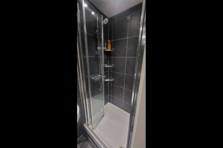 Room in a Shared Flat, Westminster Bridge Road, SE1 - Photo 4