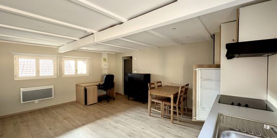 Location Appartement 1 pièce 28m² GEISPOLSHEIM 67118 - Photo 3