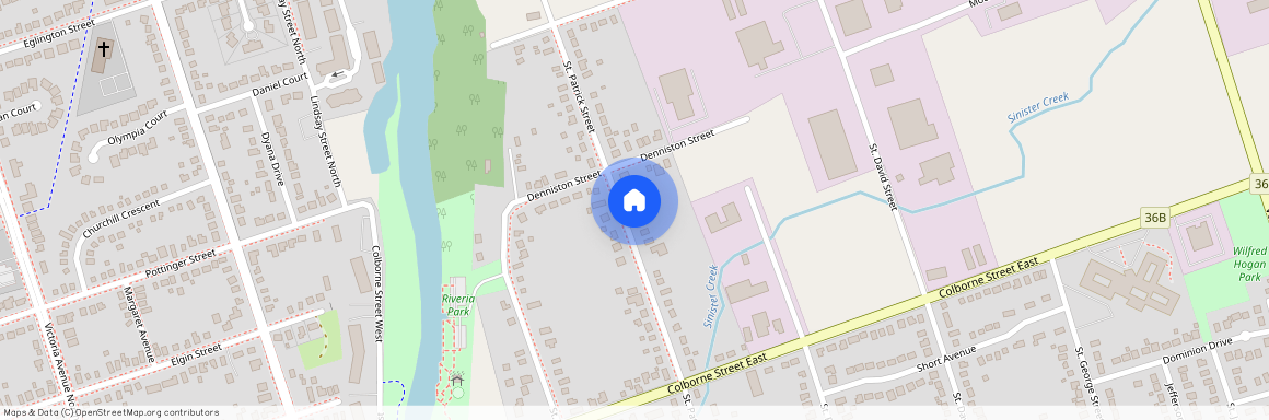 80 St Patrick Street, Kawartha Lakes