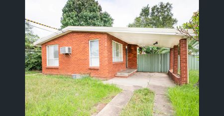 Great Starter - Photo 2