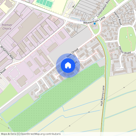 Harrys Way, Wisbech