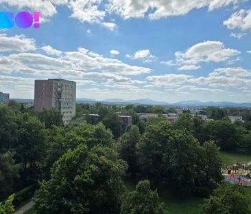 Pronájem bytu 1+1 Ostrava - Hrabůvka, ul. Fr. Hajdy - Photo 3