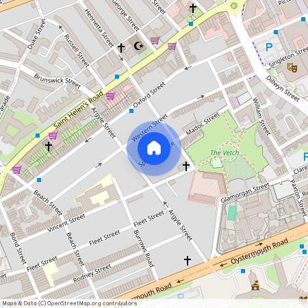 Spring Terrace, Sandfields, Swansea