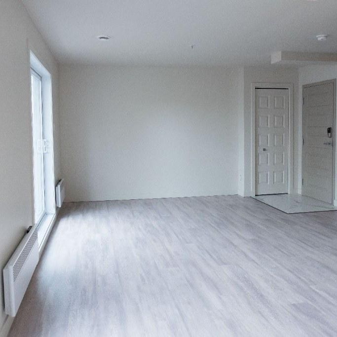 5.5 sur deux étages à St-Sauveur - Photo 1