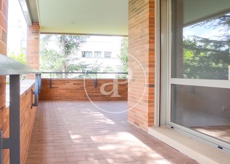 Flat for rent in La Moraleja (La Moraleja) - Photo 4