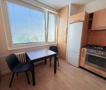 PRONÁJEM PĚKNÉHO BYTU 1+1 S KLIMATIZACÍ, BALKÓNEM A SKLEPEM V ŽIDLO... - Photo 3