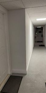 3 1/2 Rosemont sous-sol Basement Triplex - Photo 3