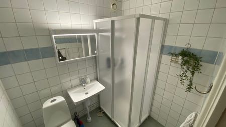 Nelinsgatan 10 A - Photo 5