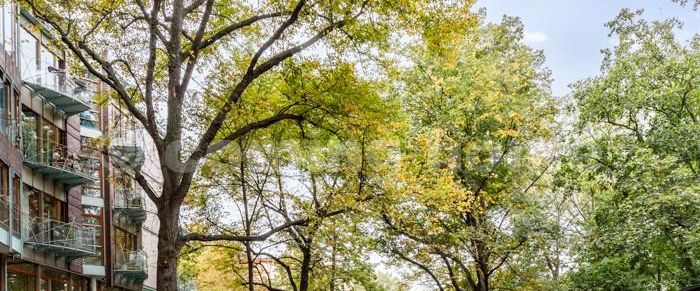 Perfect Location - Photo 1