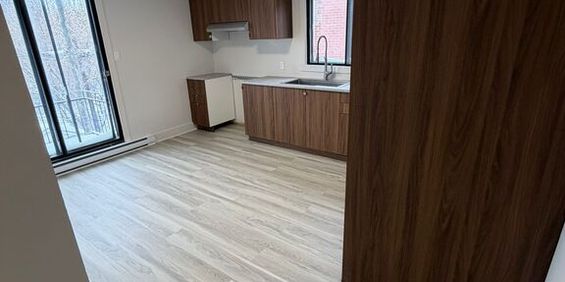 GRAND 4 1/2 RENOVÉ !!! - Photo 3