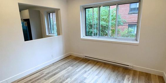 1 CH - 1 SDB - Montréal - $1,545 /mo - Photo 3