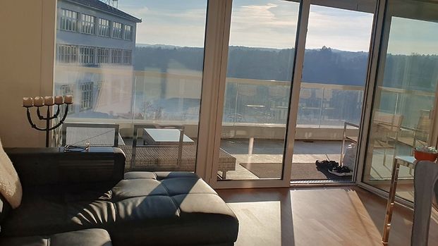 4½ Zimmer-Wohnung in Neuhausen am Rheinfall (SH), möbliert, auf Zeit - Foto 1