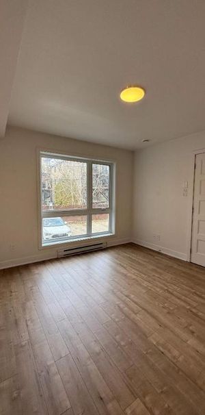 1 CH - 1 SDB - Montréal-Est - $1,520 /mo - Photo 1