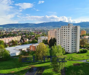 Pronájem bytu 1+kk a garsoniéry 20 m² - Fotografie 4