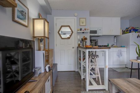 For Lease - 42 Harvey Street Unit# Unit #6, Tillsonburg, Ontario - Photo 5