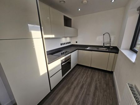 49 Hurst Street, Liverpool, L1 - Photo 3