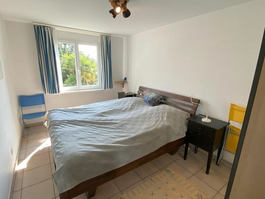 Luminoso appartamento3.5 locali/ Charming 3.5-room apartment with garden view - Photo 1