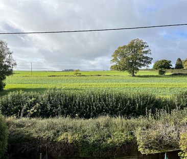 Hedge End, Winterborne Stickland, Blandford Forum, DT11, Blandford ... - Photo 2