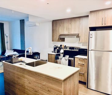 Appartement à louer, Montréal (Le Plateau-Mont-Royal) - Photo 6
