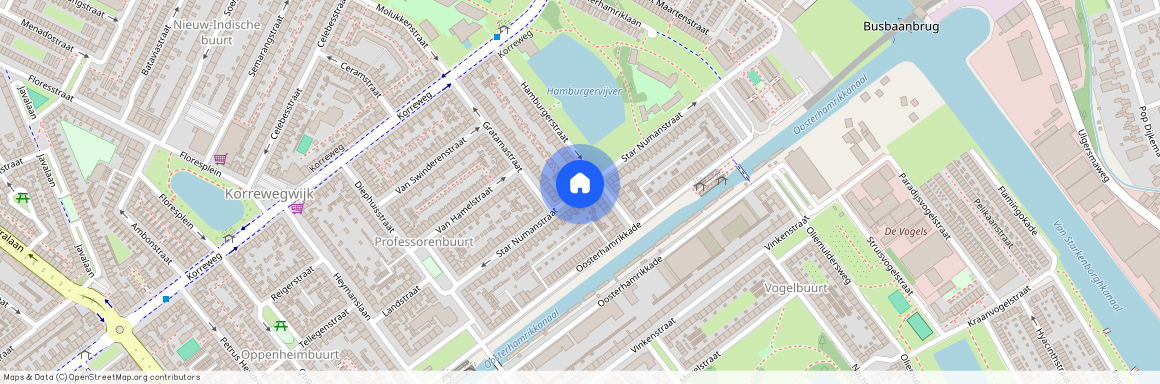 Professorenbuurt, 9714 JK, Star Numanstraat, Groningen