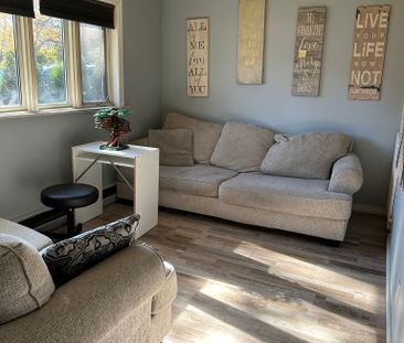 For Lease - 46 Elm Grove Avenue, Richmond Hill, Ontario - Photo 3