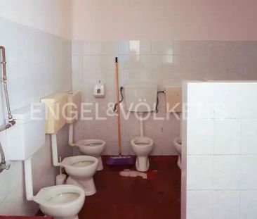 Μονοκατοικία για ενοικίαση Καλλιμάρμαρο (Μετς - Καλλιμάρμαρο) - Photo 2