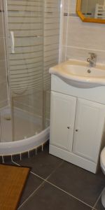 Location Appartement 1 pièce 22m² ORLEANS 45000 - Photo 4