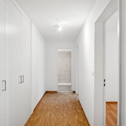 Zentrale Stadtwohnung direkt an der Limmat - Foto 1