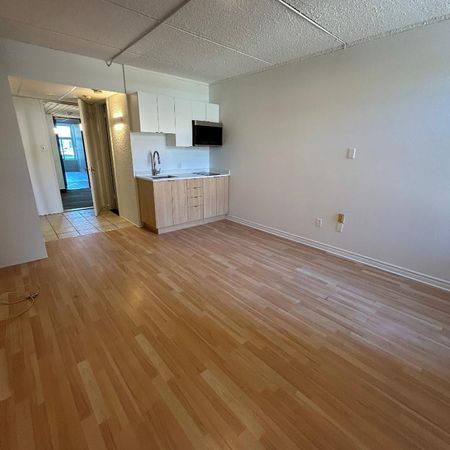 Studio - Saint-Charles-Borromée - $1,049 /mo - Photo 3