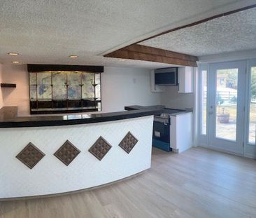 For Lease - 78 Belfry Drive Unit# Basement, Newmarket, Ontario - Photo 2