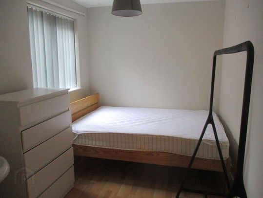 Great 5 Bedroom House, 3 Collingwood Avenue, Queens Quarter, Belfast, BT7 1QT - Photo 1