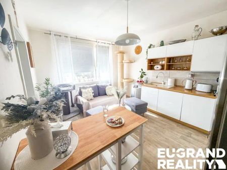 Pronájem bytu 1+1+L, 44,7 m - Photo 3