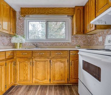 For Lease - 29 Whitman Street Unit# UPPER, Toronto, Ontario - Photo 2