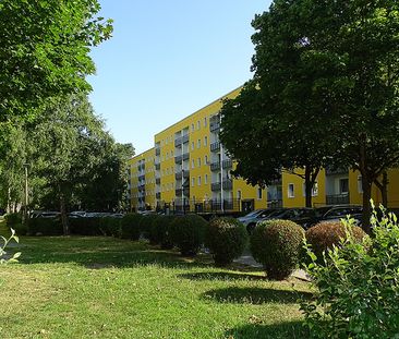 3-Raum Wohnung – bezugsfertig zum 01.07.2024! - Foto 4