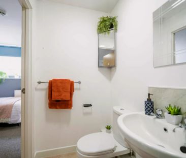 PLUS Classic Studio - Photo 4