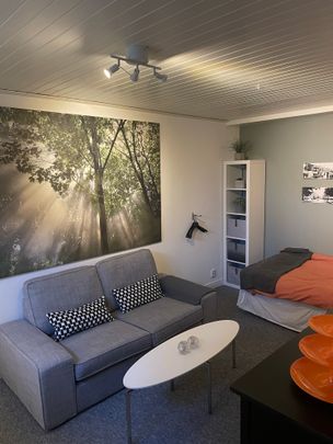 Engelbrektsgatan, Jönköping - Photo 1