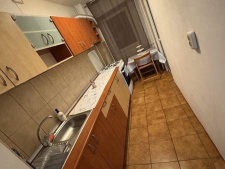 Muncii campia libertatii nicolae licaret - Photo 3
