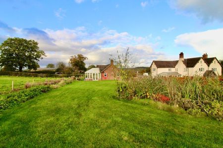 2 Bedroom Detached Bungalow To Rent - Photo 3