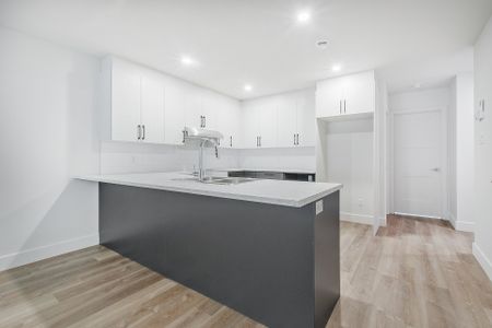 Appartement à Montréal (Mercier/Hochelaga-Maisonneuve) - Photo 3