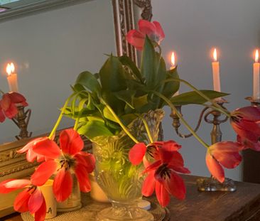 Albert Park - Photo 5