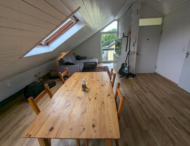 Wohnung zur Untermiete in Mannheim - Foto 1