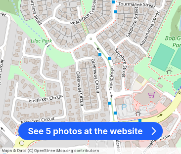 “Springfield” - Photo 1