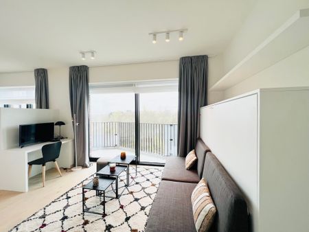 Boulevard du Triomphe, 1160, Auderghem - Photo 3