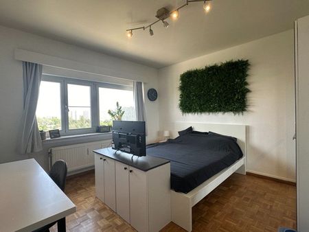 prachtig gelegen appartement met zicht over groen Linkeroever met parkeerplaats - Photo 3