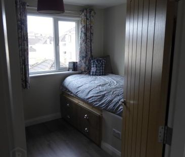 35 Winters Gardens, Omagh, BT79 0DZ - Photo 5