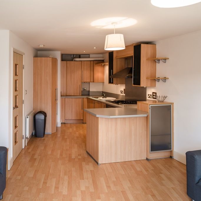 Brindley Point, Sheepcote Street, Birmingham - Photo 1