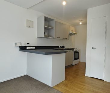 Property Management15 BURNSIDE COURT, Albany - Home and Income for ... - Photo 6