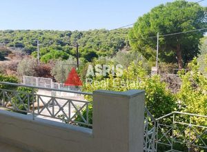 Μονοκατοικία για ενοικίαση - Μαρκόπουλο, - Photo 3