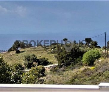 Μονοκατοικία για ενοικίαση Λαγονήσι (Καλύβια Θορικού) - Photo 1