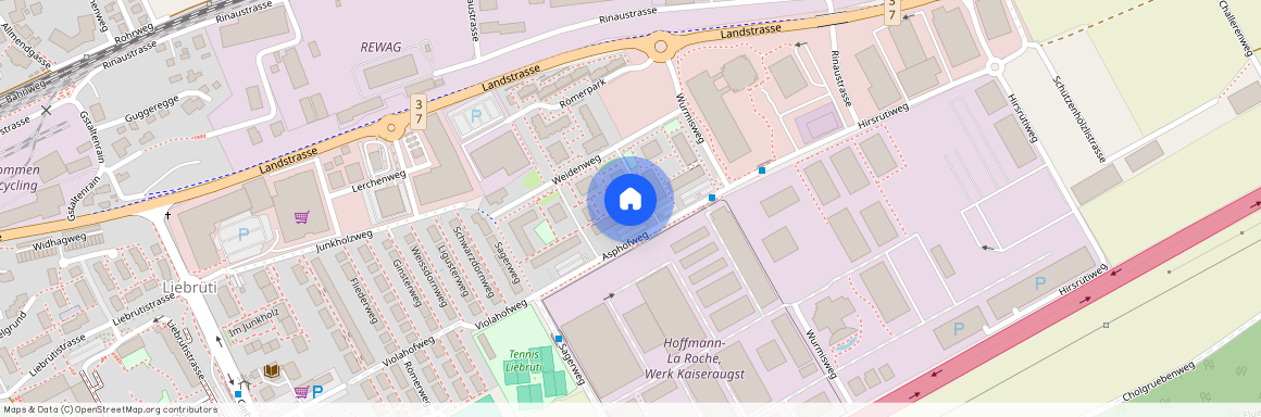 Weidenweg 24, 4303 Kaiseraugst